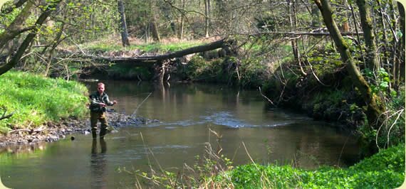 photo of River Derwent